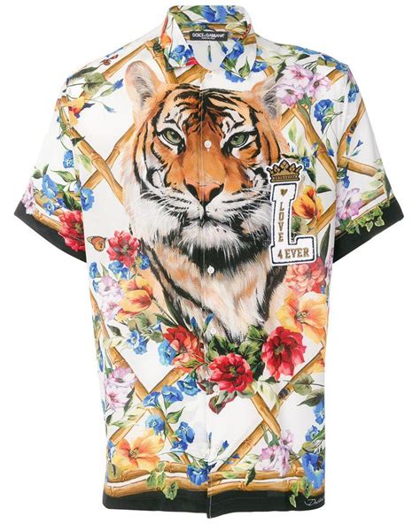 dolce and gabbana tiger shirt